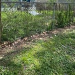 Before of fence line