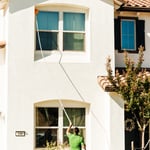 Dewebbing Service