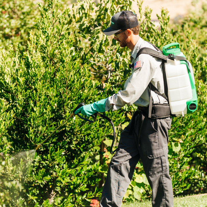 Exterior Service
