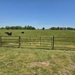 Farm Gate