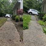Lawn clean up