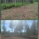Before and after