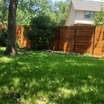 Wood Fence
