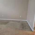 Home repaint
