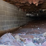 Crawl Space Brothers