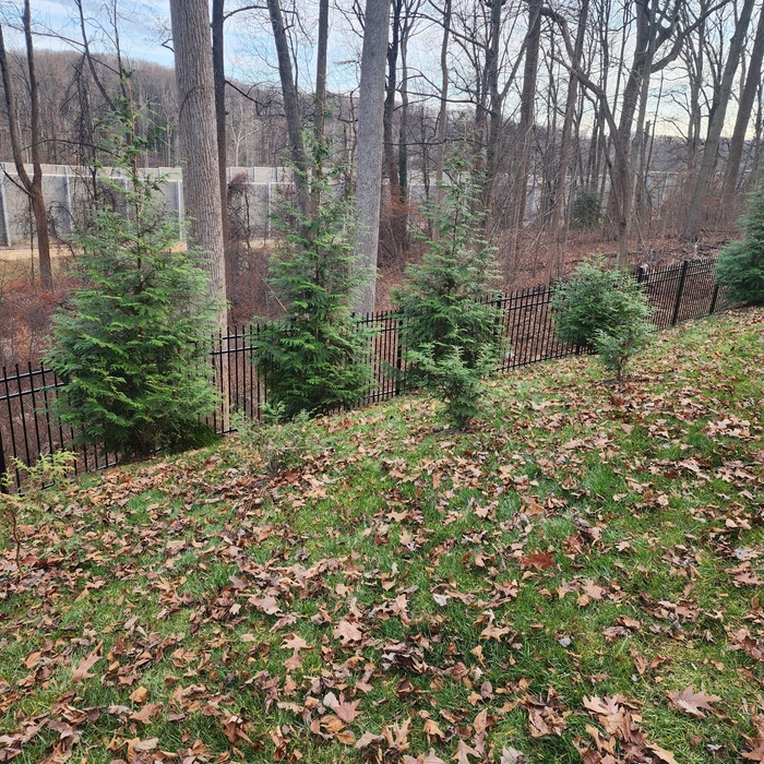 Aluminum Fence - Colonial