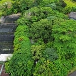 Land clearing