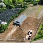Land clearing