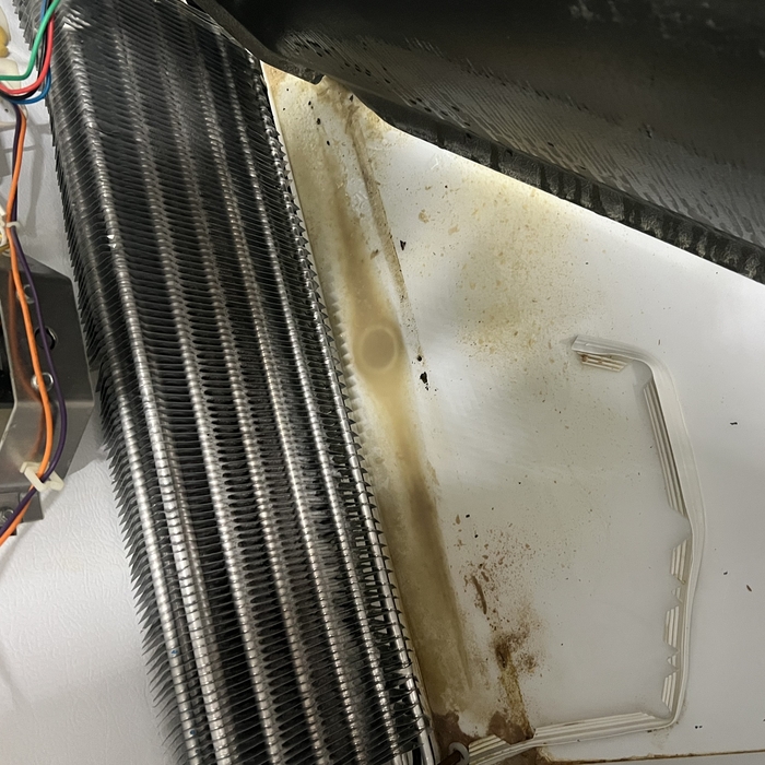 CLOGGED DRAIN LINE