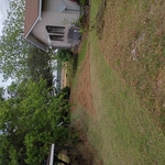 back of the house