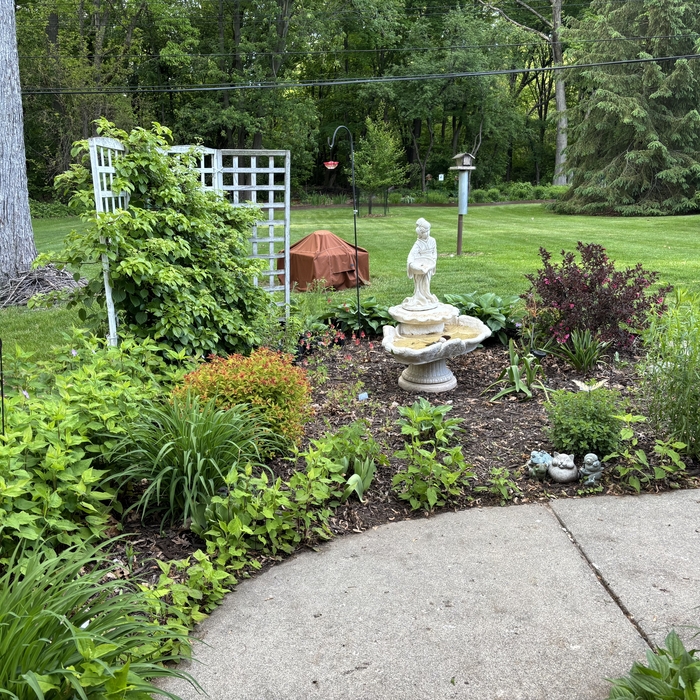 Lawn Care