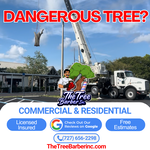 Tree Barber Services