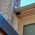 Soffit/Fascia Hole