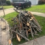 Tree Removal Cleanup