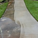 Driveway Surface Clean