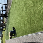 Artificial Turf