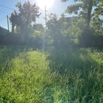 Lawn Service – Marceline
