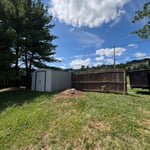 Tree Removal After