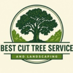 Best Cut Tree Service