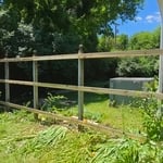 Fence Revitalization