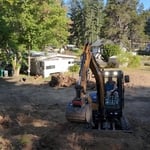 Stump Removal