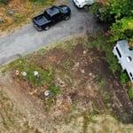 Stump Removal