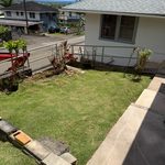 Cut grass
