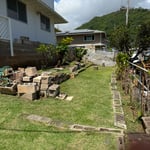 Cut grass