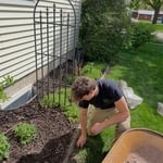 Bi-Weekly mowing
