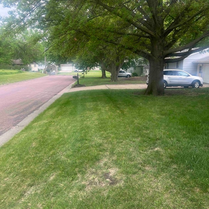 Bi-Weekly mowing