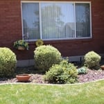 Edging and hedging
