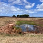 Storm drain basin