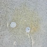 Stain treatment