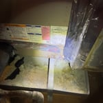 Project Photos