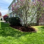 Mulch
