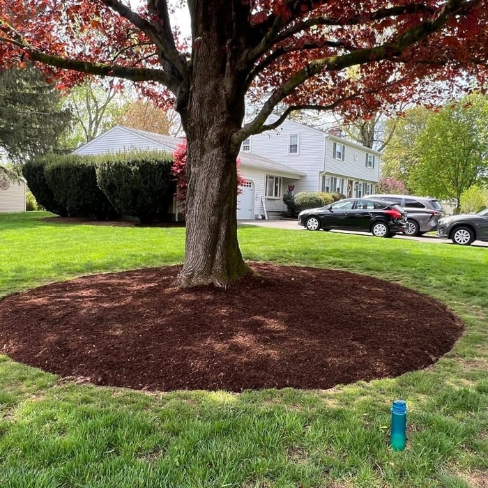 Mulch