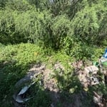 Illegally Dumped Debris