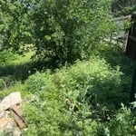 Illegally Dumped Debris