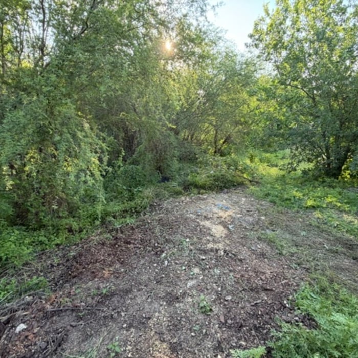 Illegally Dumped Debris