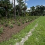 Native preserve install