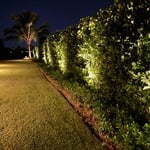 Landscape lighting