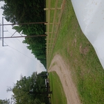 Cattle fencing
