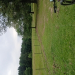 Cattle fencing