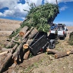 Branch Cleanup