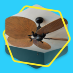 Finished Ceiling Fan Installation