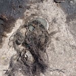 Snaked sewer line