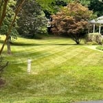 Lawn Service