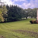 Lawn Service