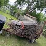 Junk temoval