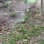 IRRIGATION SYSTEM